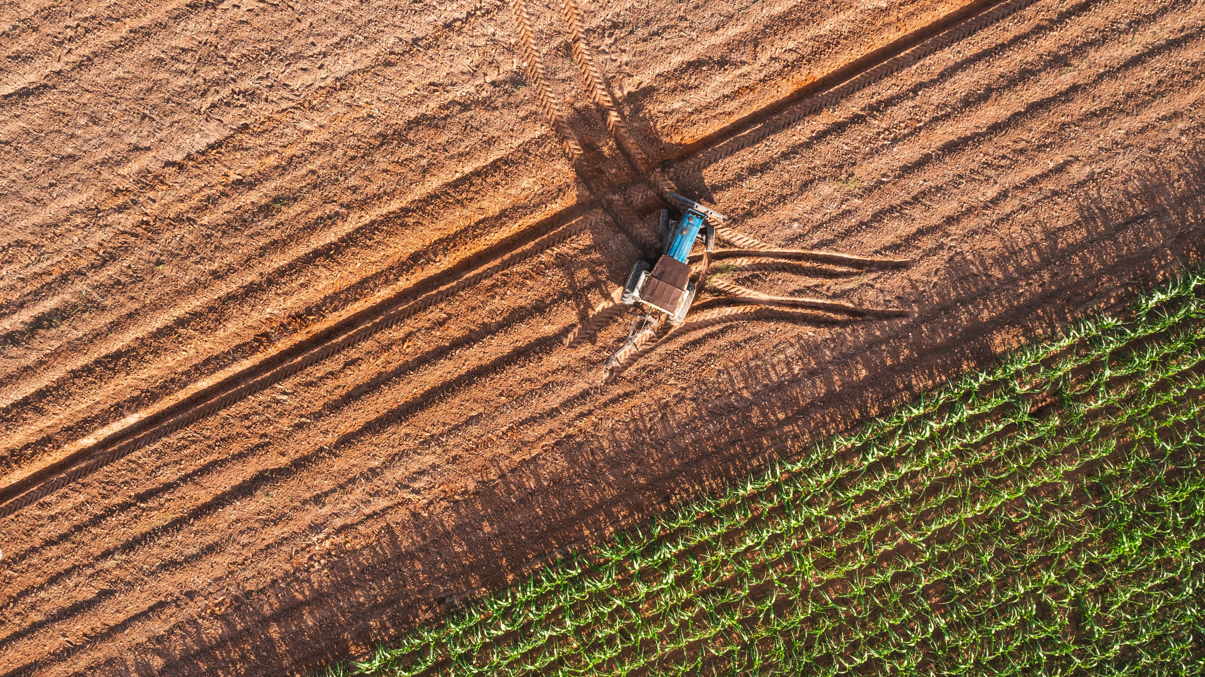 Vista aérea de campo agrícola